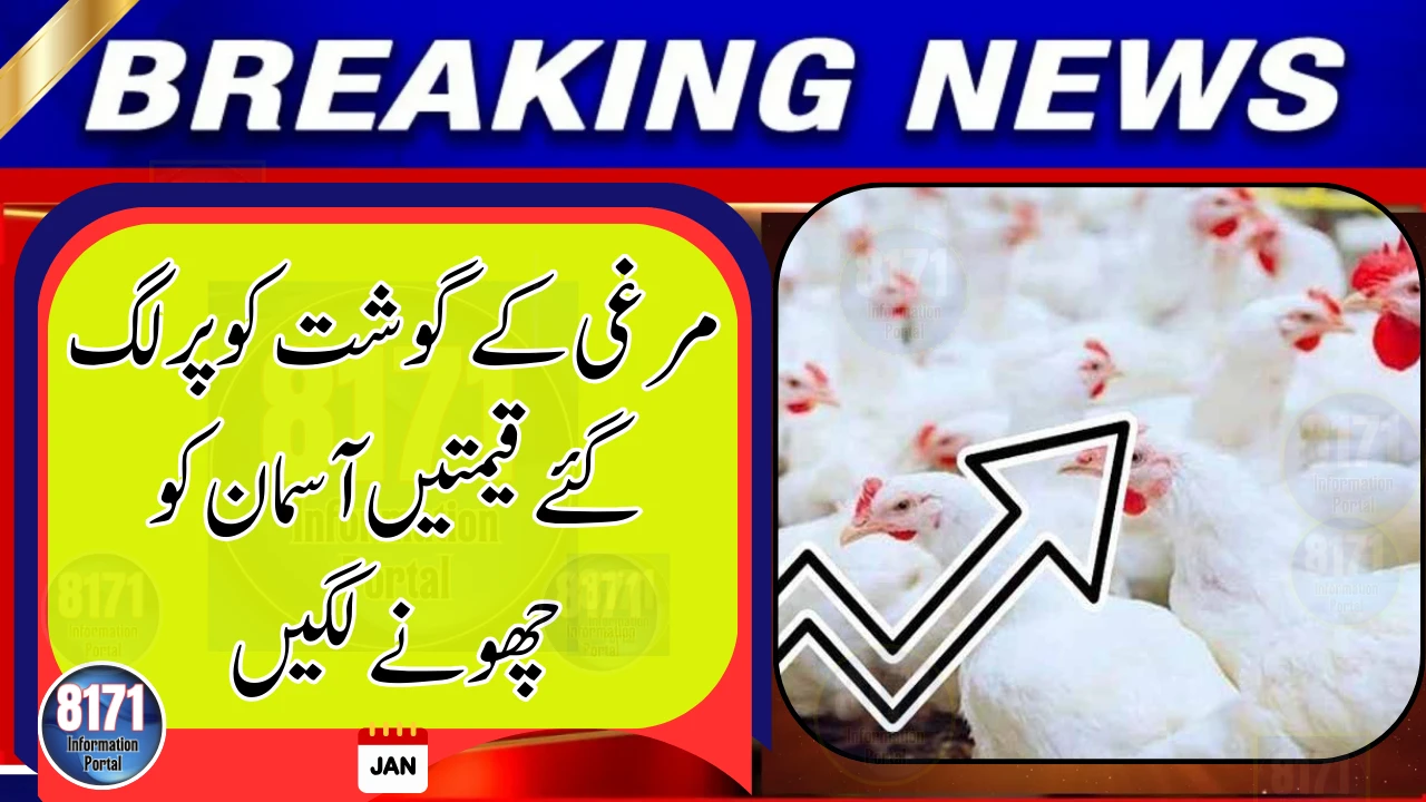 Chicken Meat Prices Continue to Climb in Pakistan