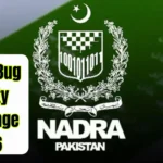 NADRA Bug Bounty Challenge 2026