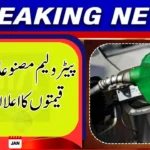 Petrol Price Remains Unchanged, Diesel Jumps
